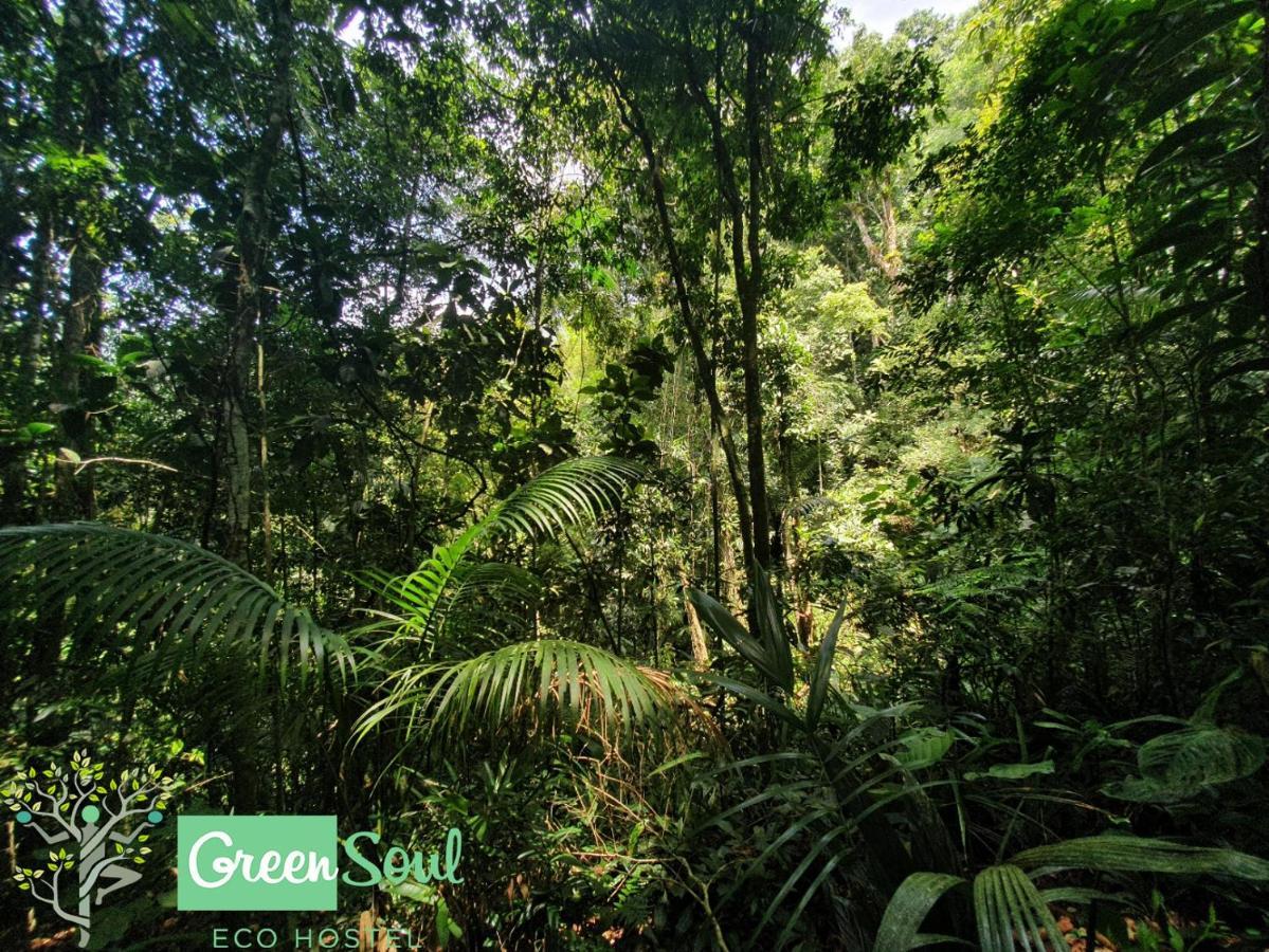 Greensoul Hospedagem Ubatuba Dış mekan fotoğraf